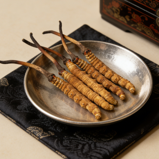 冬虫夏草哪个牌子可靠？十大品牌冻干工艺对比，锁鲜更锁补肾力