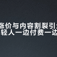 流媒体涨价与内容割裂引众怒，76%年轻人一边付费一边用盗版？我们用534+用户观点说话