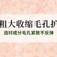 毛孔粗大必看！2025收缩毛孔护肤品推荐 选对成分毛孔紧致不