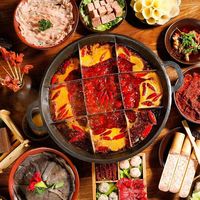 药食同源火锅底料：健康新选择还是营销噱头？890+用户观点大PK