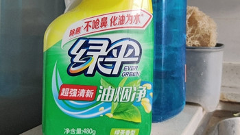 绿伞生物酶清洁剂：安全高效去油