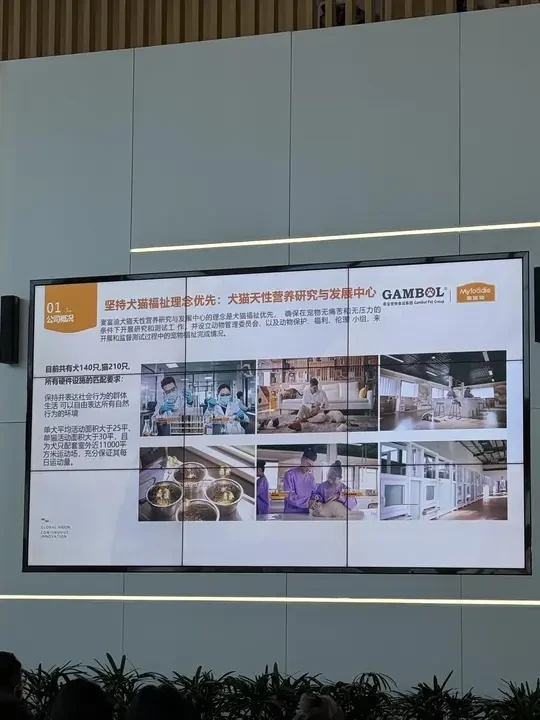 去了趟麦富迪工厂，可算知道我家猫为啥爱吃