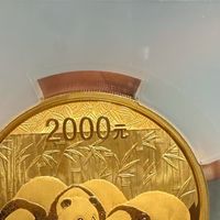 2026纪念币收藏价值与鉴别技巧