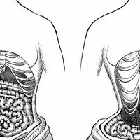 塑身衣是“时尚必备”还是“健康隐患”？2000+用户观点大PK