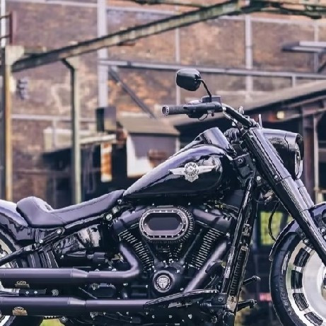 哈雷肥仔114：情怀与颜值的选择