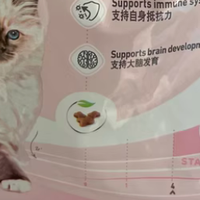 幼猫发育营养解析：科学审视五大热门猫粮，筑牢成长根基
