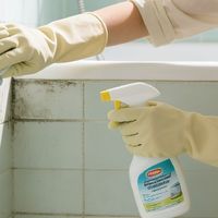 我的年度清洁手记：跟着季节做家事