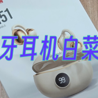 简直不敢相信！我们的蓝牙耳机能干成白菜价