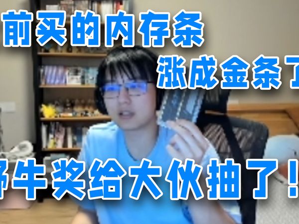 瓶子还有2025版本福利？之前买的内存条没用上没想到涨成这样了，野牛奖的时候给大伙抽了