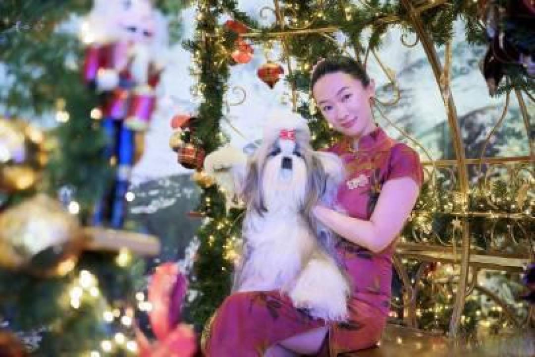 霍思燕爱犬国际夺冠创历史,唯一的中国队让世界看到东方优雅