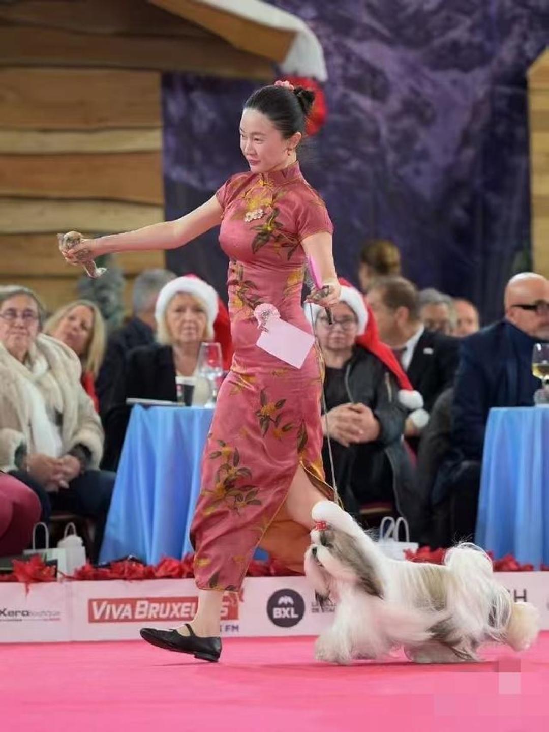 霍思燕爱犬国际夺冠创历史,唯一的中国队让世界看到东方优雅