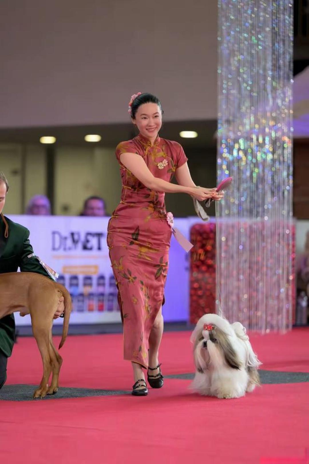 霍思燕爱犬国际夺冠创历史,唯一的中国队让世界看到东方优雅