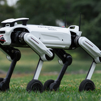 投资人扎堆大疆附近咖啡馆，是科技投资新趋势还是盲目跟风？50+用户观点全景呈现