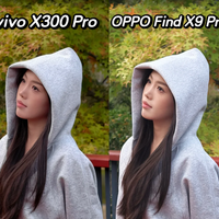 vivo X300 vs X300 Pro？68位用户真实体验告诉你答案