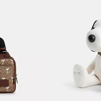 联名款包袋是身份象征还是智商税？1299元苹果三宅包引全网激辩