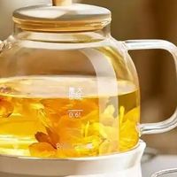 养生壶选购指南：如何挑选安全实用的养生壶？这几点很重要！