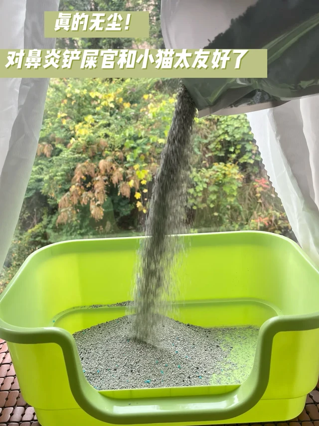 终于找到能治住猫砂盆异味的方法了。