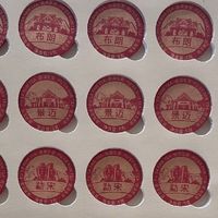 古树普洱：时光与自然的馈赠