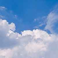 驼奶粉适合小孩喝的，10款碑驼奶粉实测，补充营养助力智力发育