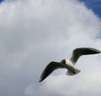 补脑保健品哪个性价好？补脑精准承载EPA DHA黄金配比全场景适配