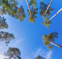 按痛点对号入座！美白抗敏牙膏：成分党，黄牙，口臭，敏感全解决