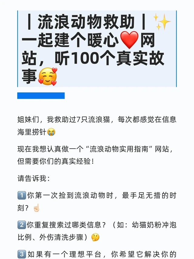 ｜流浪动物救助｜✨一起建个暖心❤️网站，