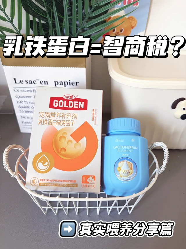 猫咪乳铁蛋白怎么选？