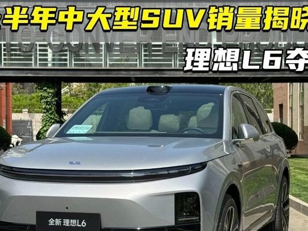 上半年中大型SUV销量排行榜揭晓 理想L6夺冠