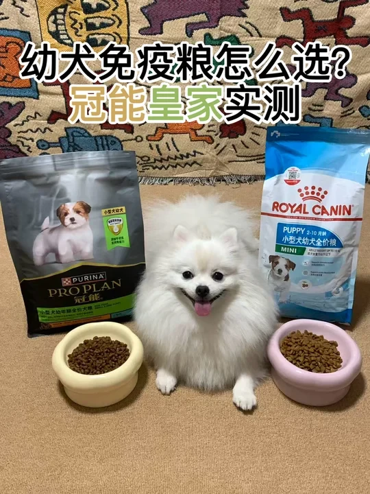 手把手教你pick幼犬第一口粮，养出结实小狗