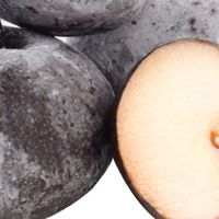 冬日暖食里的东北冻梨：冰碴儿裹着的烟火甜