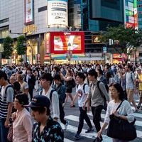 赴日旅游安全争议引热议，50万+用户真实反馈全景呈现