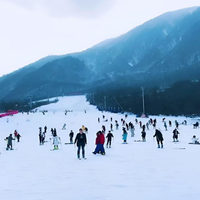 雪场新手上路指南：零基础到雪上飞驰的保姆级教程！
