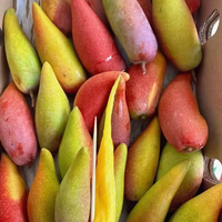 芒果味西瓜是创新水果还是营销噱头？628+用户观点大碰撞