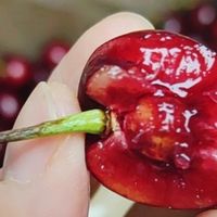 双旦佳节，盘点那些不容错过的美食与饮品，今年的车厘子我吃上啦