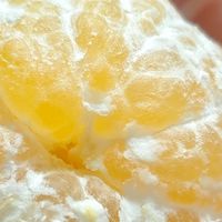 双旦好吃喝，清甜皇帝柑佳节送礼自用都不错