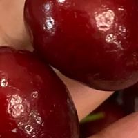 冬季高端水果：智利车厘子