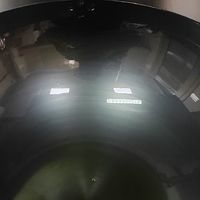 锃光瓦亮-九阳铁锅入手