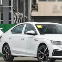 斯柯达明锐发动机异响问题解析与维修保养建议