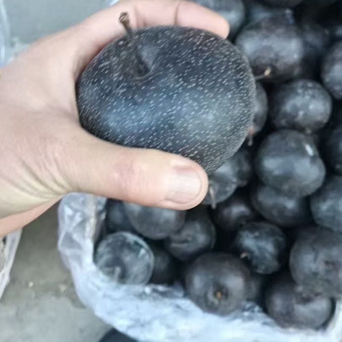 新鲜水果