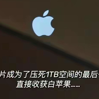 热搜炸了！iPhone 存满照片就变砖，苹果官方救急方案