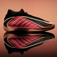 爱德华兹球鞋是实战利器还是颜值陷阱？756+用户观点大碰撞