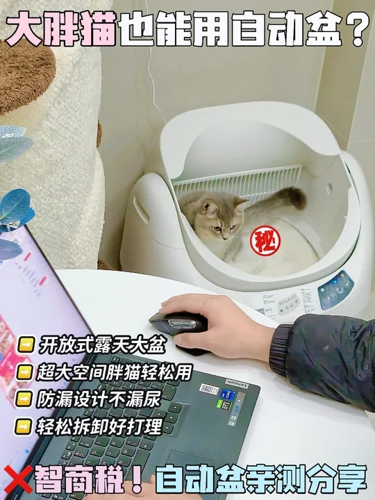 胖猫没合适的自动盆❓可能是你选错啦❗