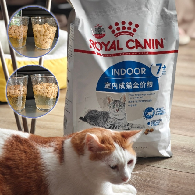 终于给俩老猫安排皇家 S27！谋财不害命的老年粮，附泡水实测