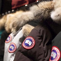 加拿大鹅万元羽绒服是“保暖神器”还是“智商税”？1200+用户观点大PK