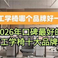 新品资讯 篇零：人体工学椅哪个品牌好 2026年口碑最好的人体工学椅十大品牌推荐