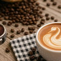 云南咖啡的可持续发展：环保与商业如何共赢？72+用户观点全景呈现