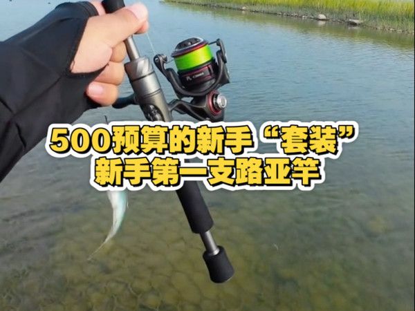 500预算的新手“套装”，新手第一支路亚竿
