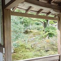 日本酒店入住规则引热议，150+用户真实反馈全景呈现