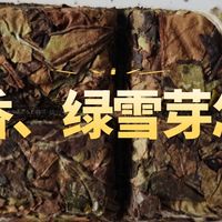刚开始喝喝白茶，绿雪芽、品品香这两个品牌怎么样？