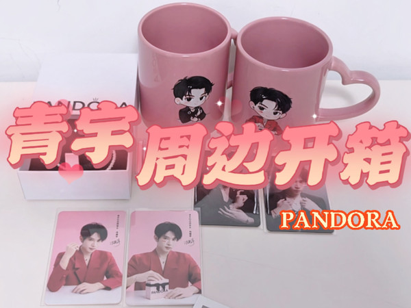 【青宇周边开箱】PANDORA